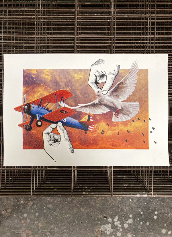 Bird & plane print